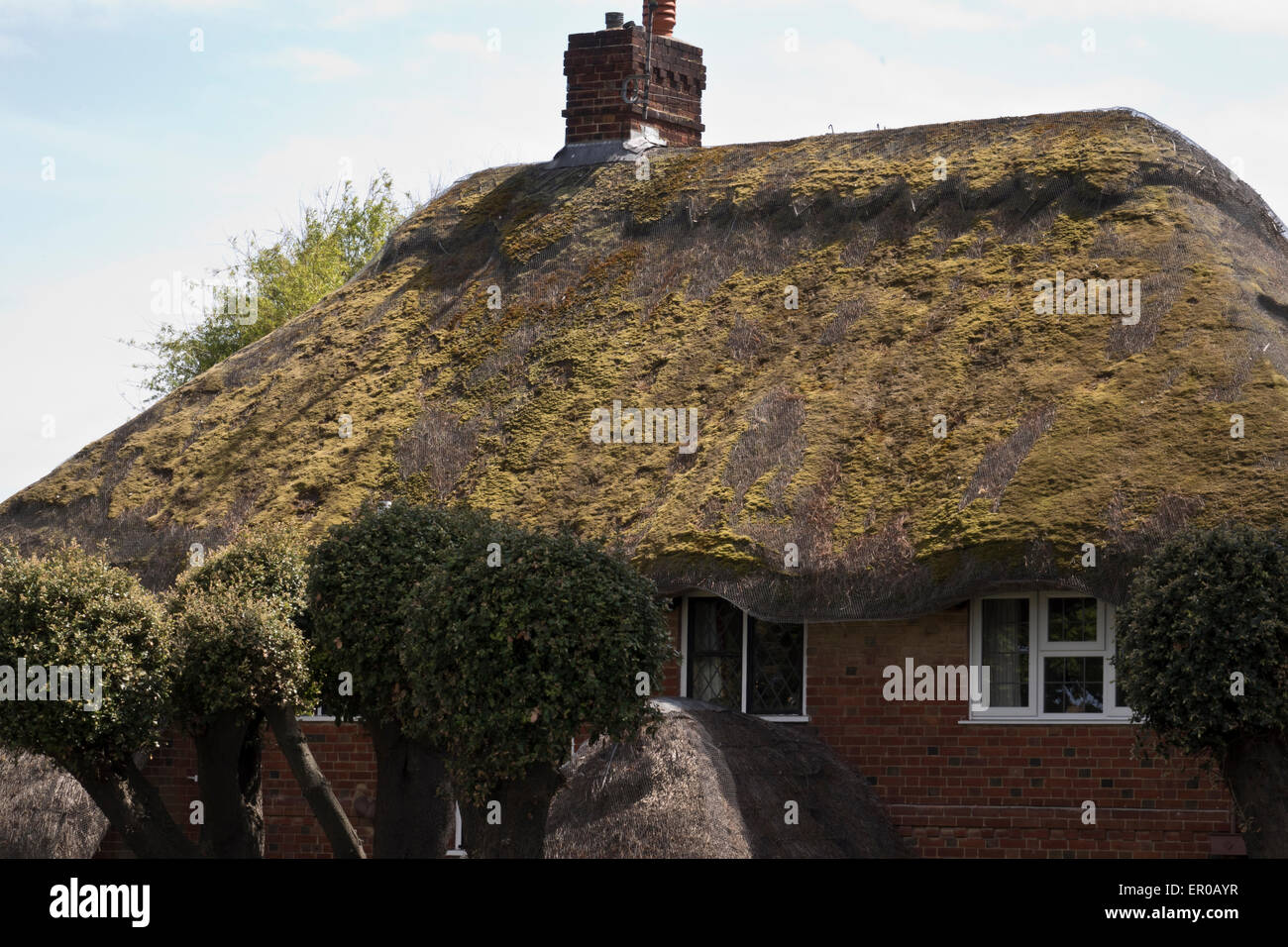 Old thatched thatch roof with moss Stock Photo
