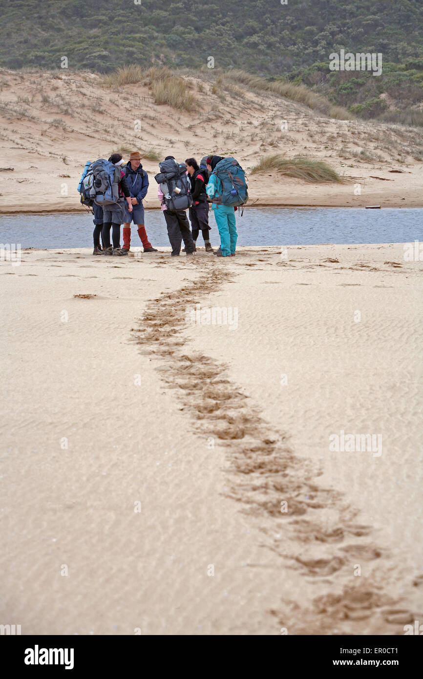 Bushwalkers along the Great Ocean Walk in Victoria, Australia. Stock Photo