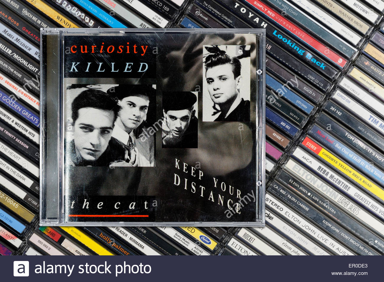 curiosity killed the cat band