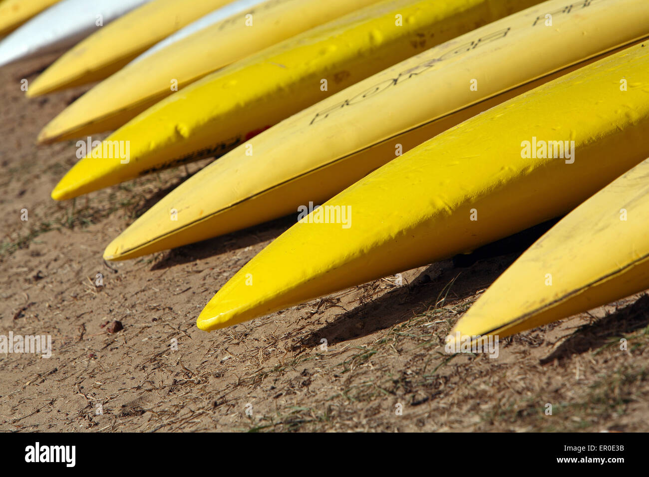 Surf life saving boards during a surf carnival. Anglesea, Victoria, Australia. Stock Photo