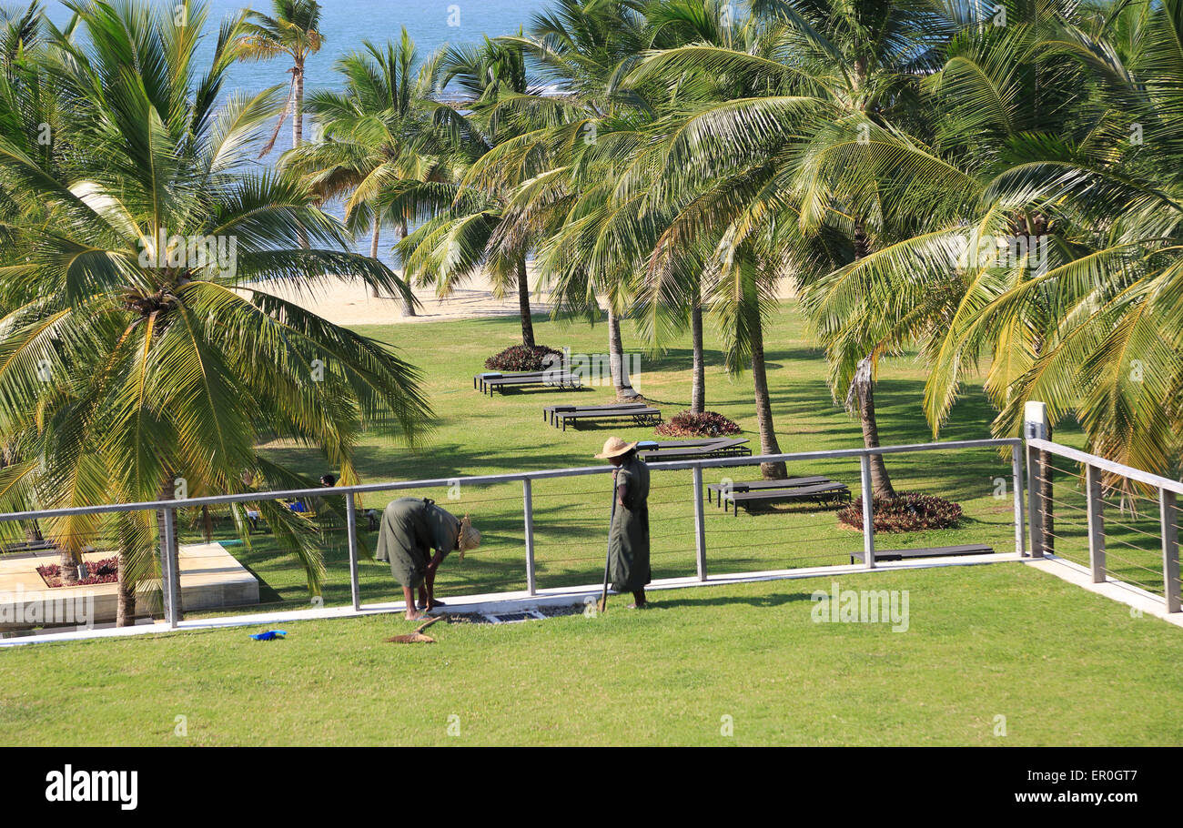 Amaya Beach Resort and Spa hotel, Pasikudah Bay, Eastern Province, Sri Lanka, Asia staff tending sedum grass roof garden Stock Photo