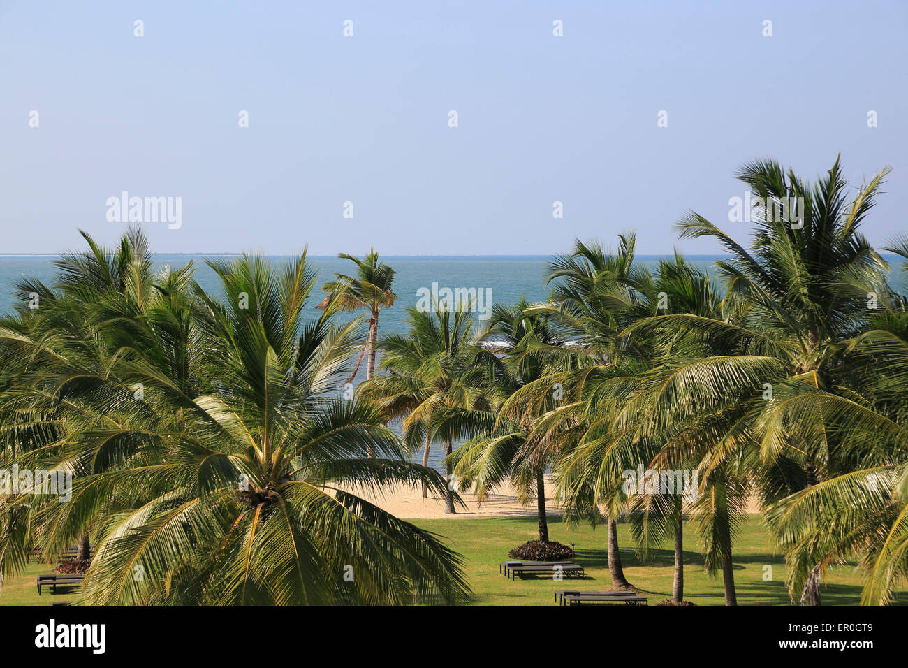 Palm trees sandy beach Amaya Beach Resort and Spa hotel, Pasikudah Bay, Eastern Province, Sri Lanka, Asia Stock Photo