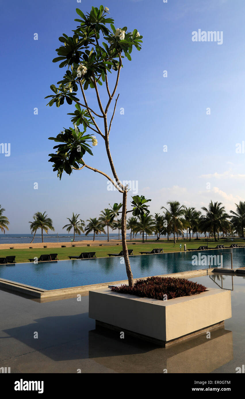 Amaya Beach Resort and Spa hotel, Pasikudah Bay, Eastern Province, Sri Lanka, Asia Stock Photo
