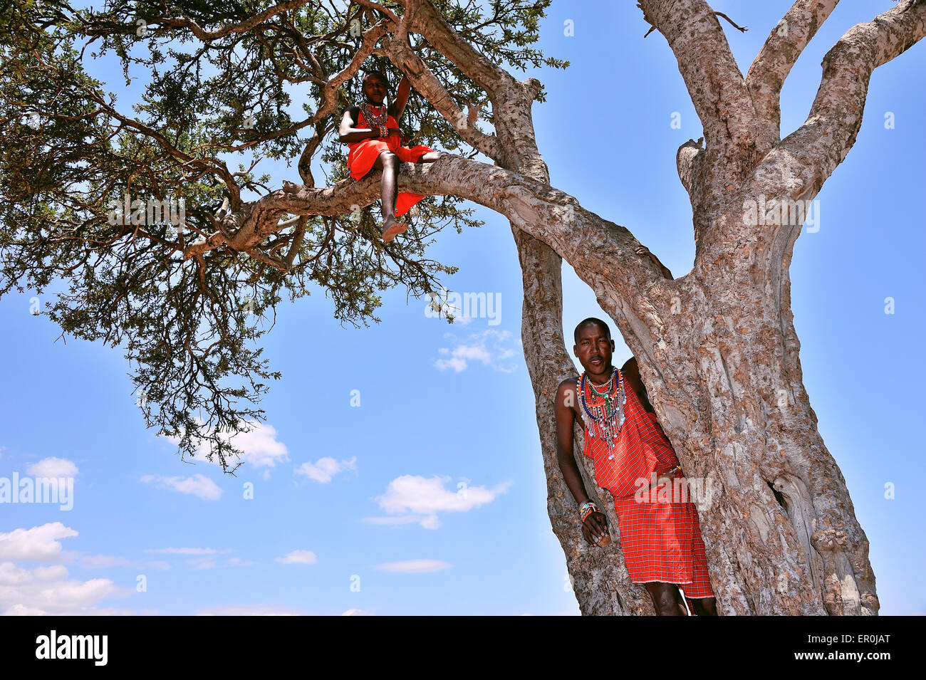 Massai on their lookout Stock Photo