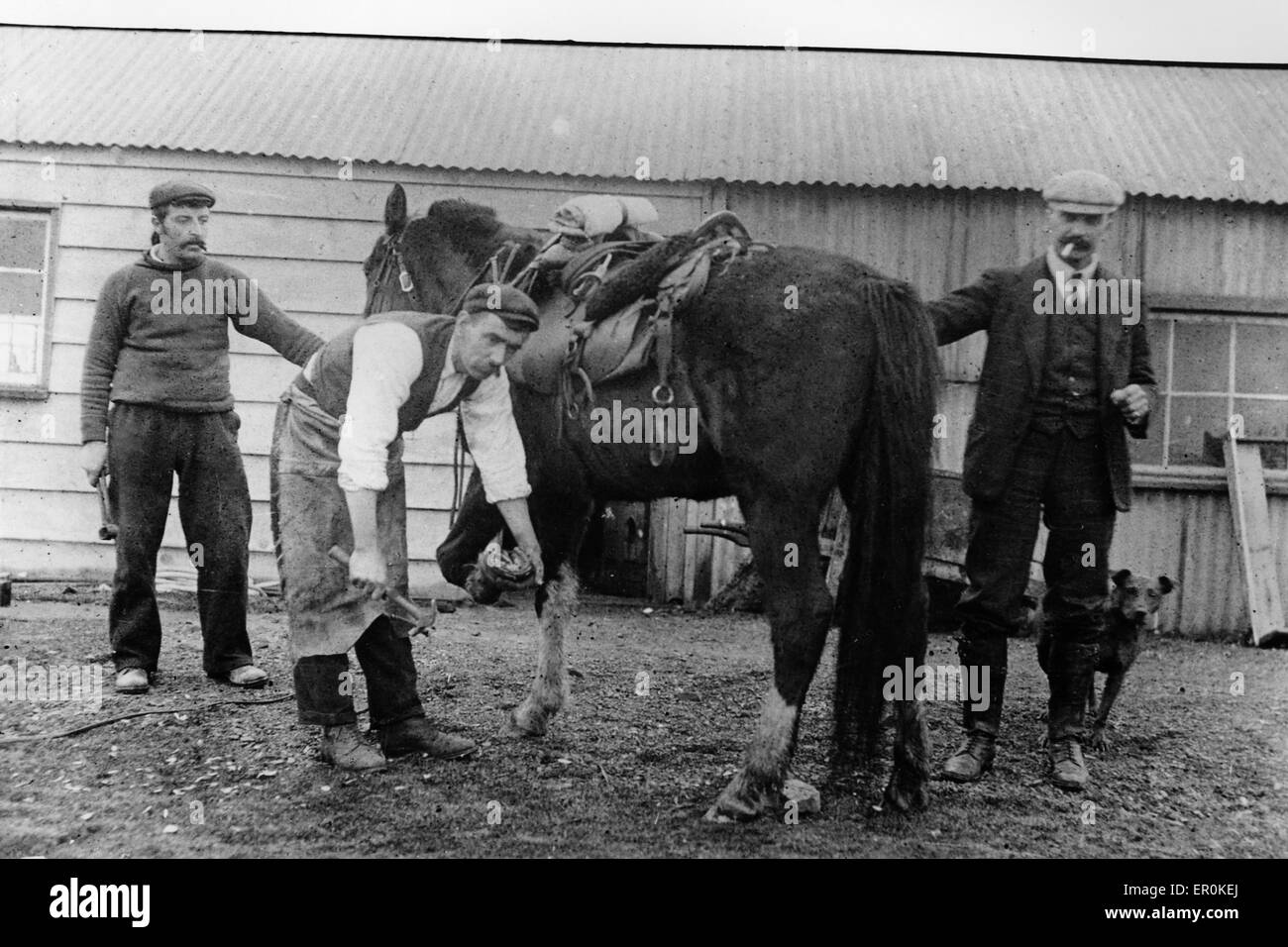 The blacksmith at Goose Green,The Falkland Islands (British Overseas