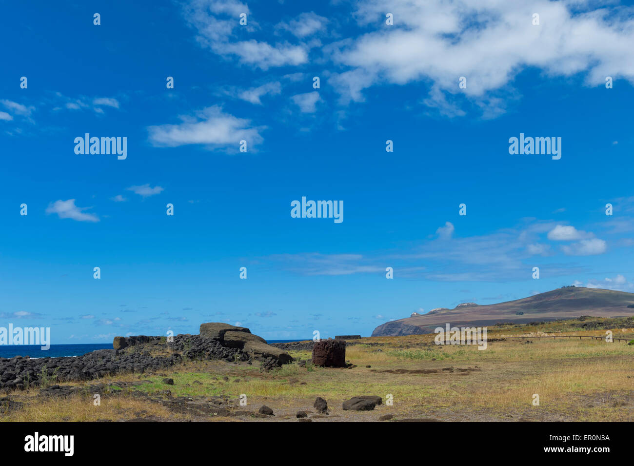 Moai Paro, the biggest Moai erected on the island, Te Pito Kura, Rapa Nui National Park, Easter Island, Chile Stock Photo