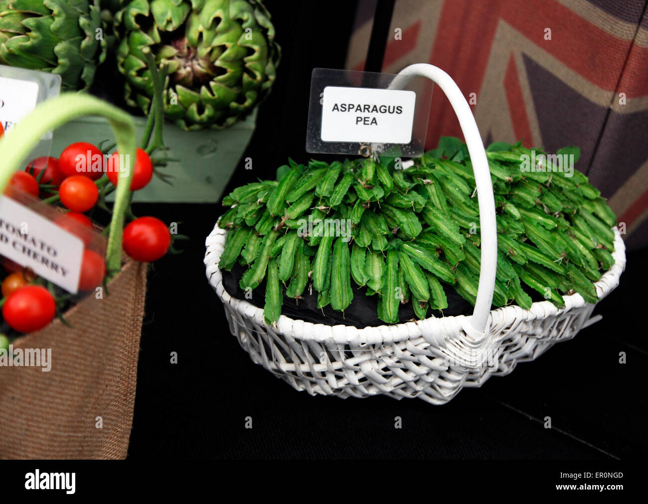 Asparagus Pea by Robinsons Seeds and Plants Stock Photo