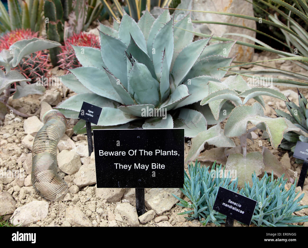 Beware of the Plants sign RHS Chelsea Flower Show 2015 Stock Photo