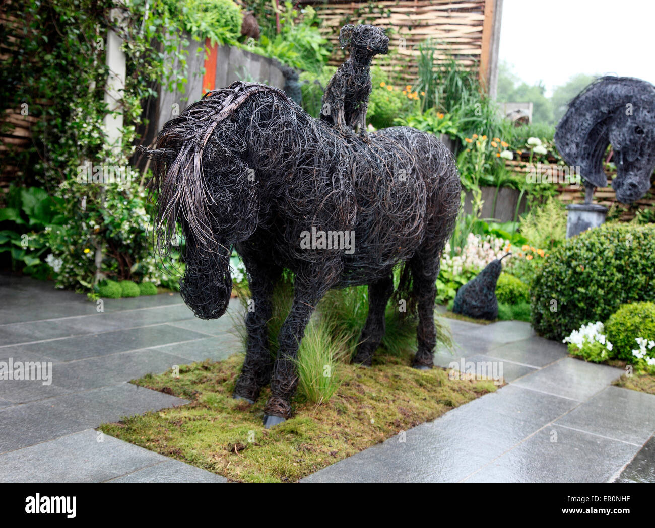 Rupert Till Shetland pony RHS Chelsea Flower Show 2015. Stock Photo
