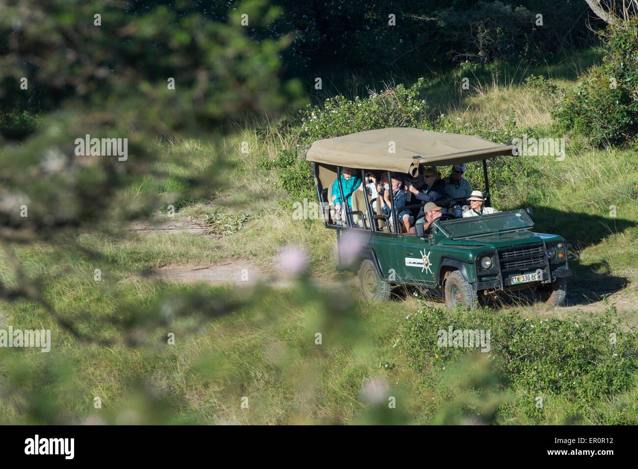 South Africa, Eastern Cape, East London. Inkwenkwezi Game Reserve. Safari jeep on game drive. Stock Photo