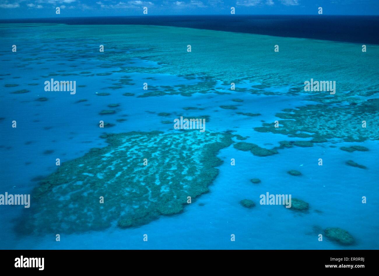 Australia, Queensland, north of Whitsunday islands, Greef barrier reef, Hook reef (aerial view) Stock Photo
