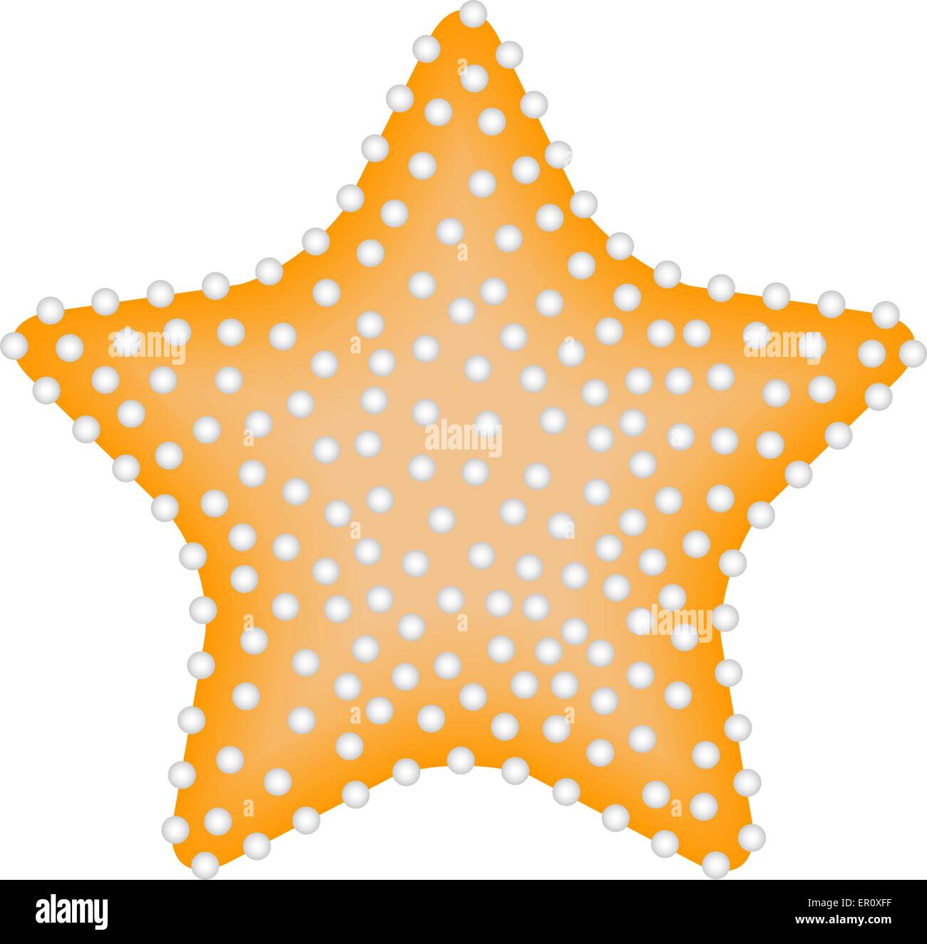 Starfish Isolated on White Stock Vector Image & Art - Alamy