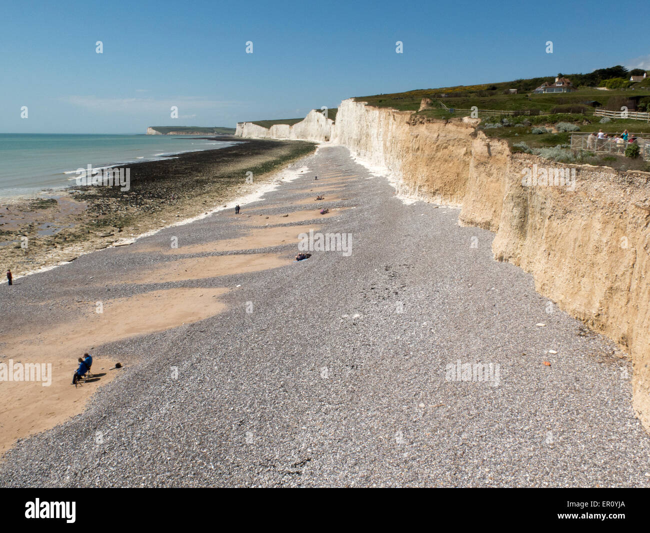 Chalk cliffs at Birling Gap East Sussex UK Stock Photo Alamy