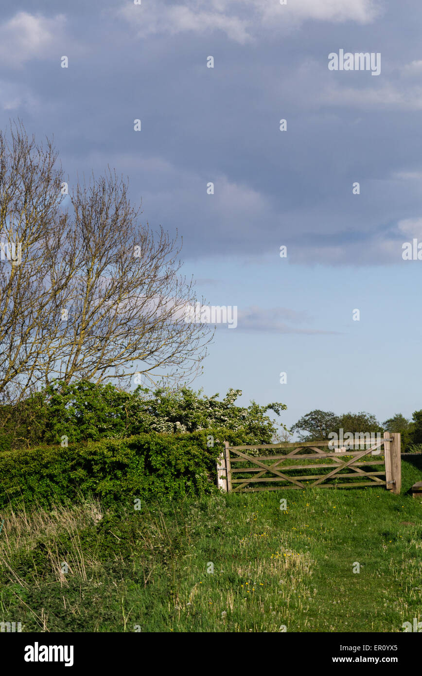 Closed gate at entrance to field. Rural setting. Vertical. Stock Photo