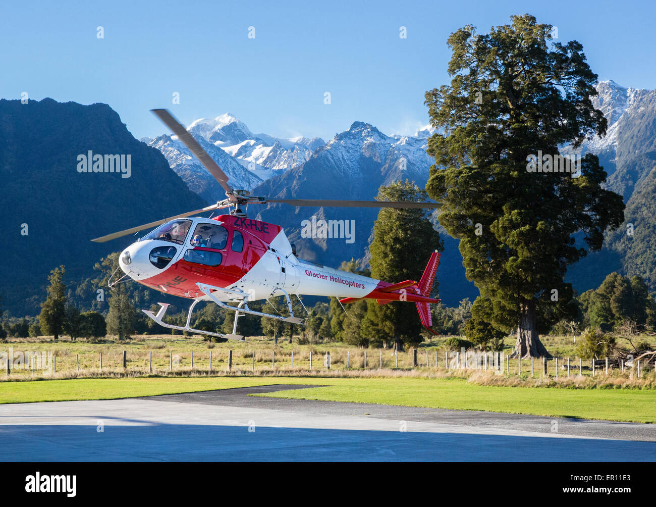 Helicopters on the pad at Fox village airlifting walkers onto Fox Glacier in the Southern Alps of New Zealand Stock Photo
