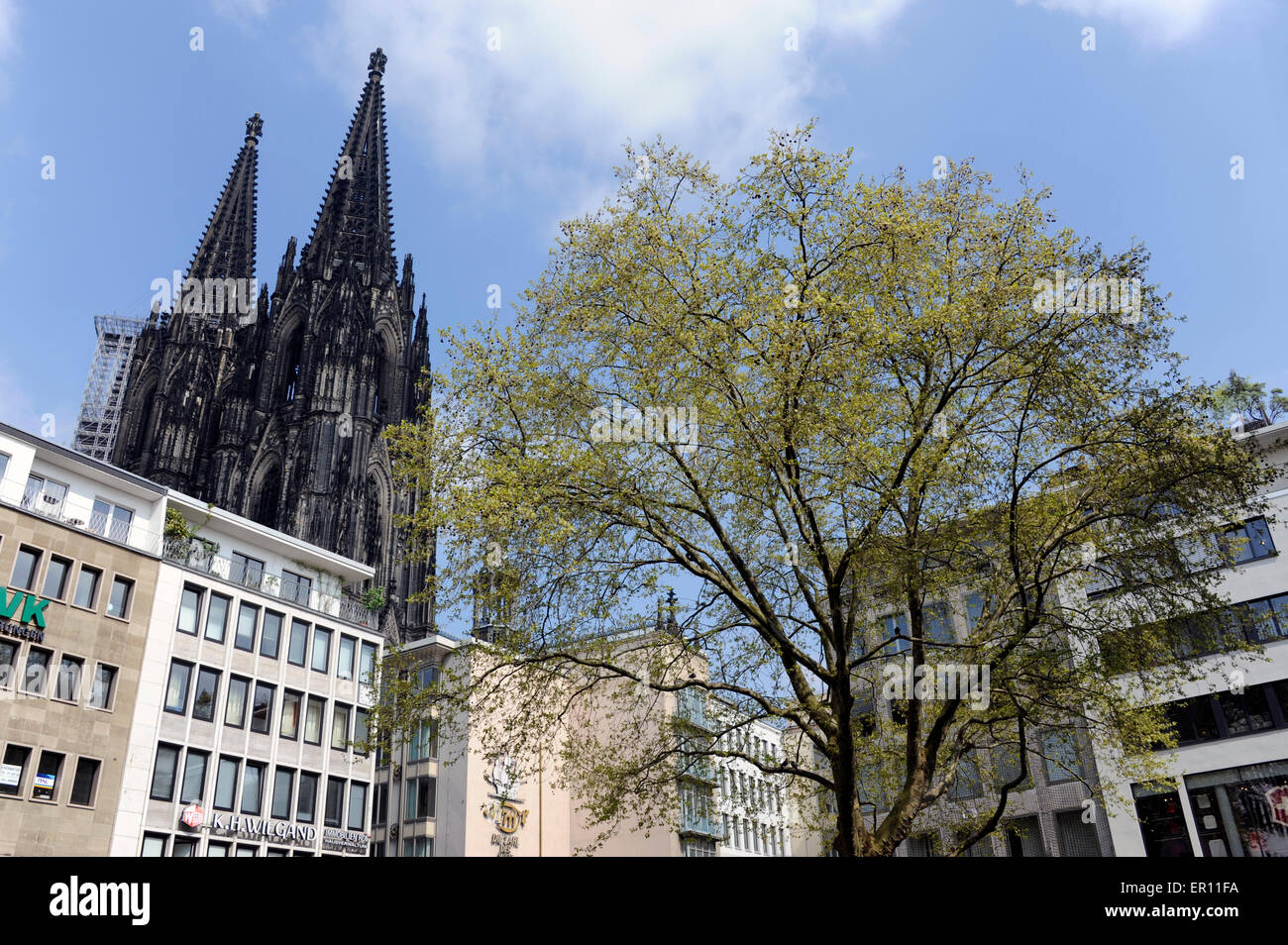 Cologne,Koln,Wallrafplatz,Kolner Dom,pedestrian zone,North Rhine-Westphalia,Germany Stock Photo
