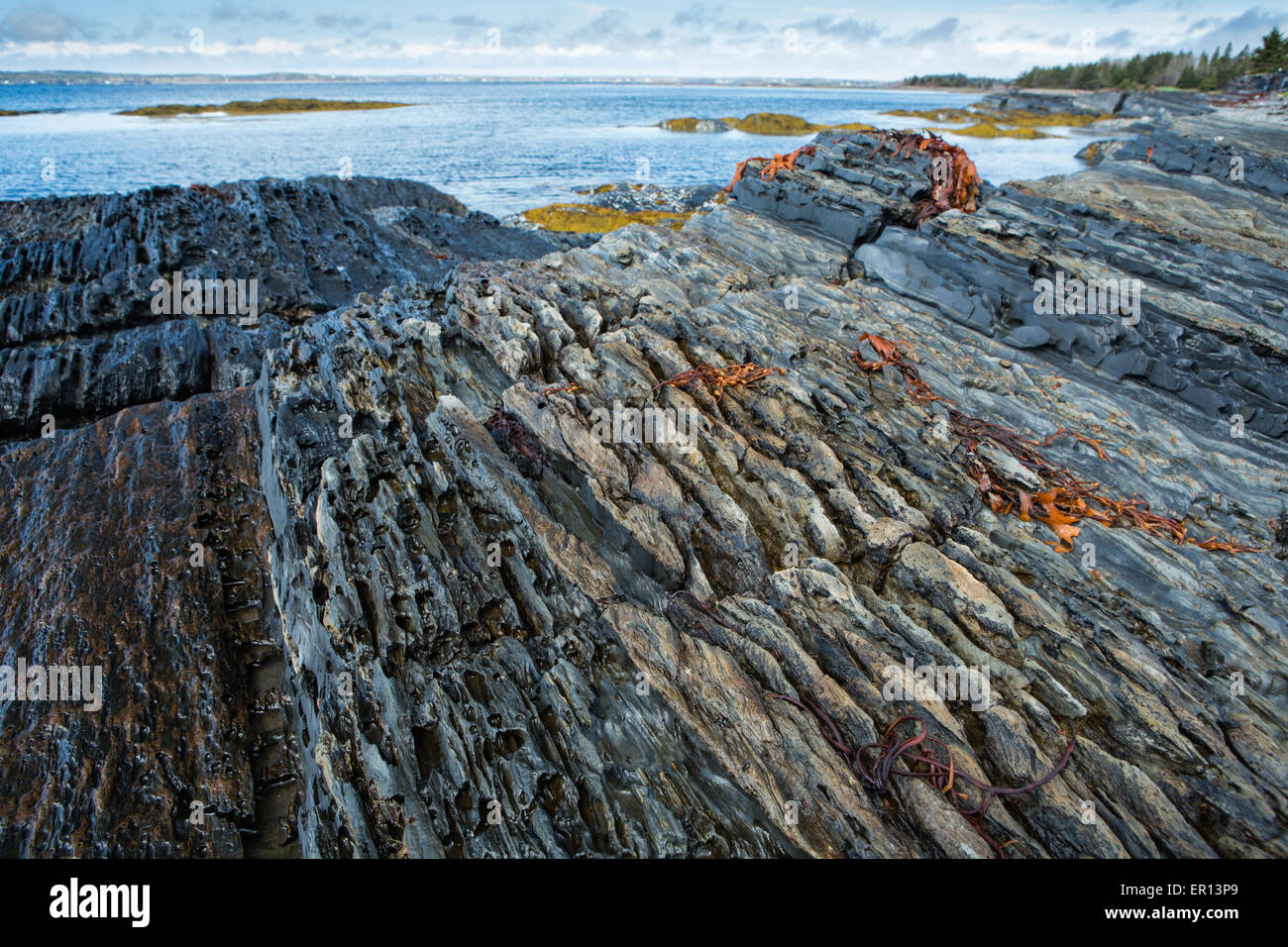 Image of the coastal sedimentary rocks in Blue Rocks, Nova Scotia Stock