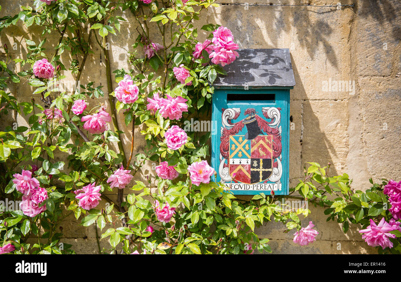 Post box with coat of arms nestled in pink climbing roses at the entrance to Snowshill Manor in the Cotswold Hills UK Stock Photo