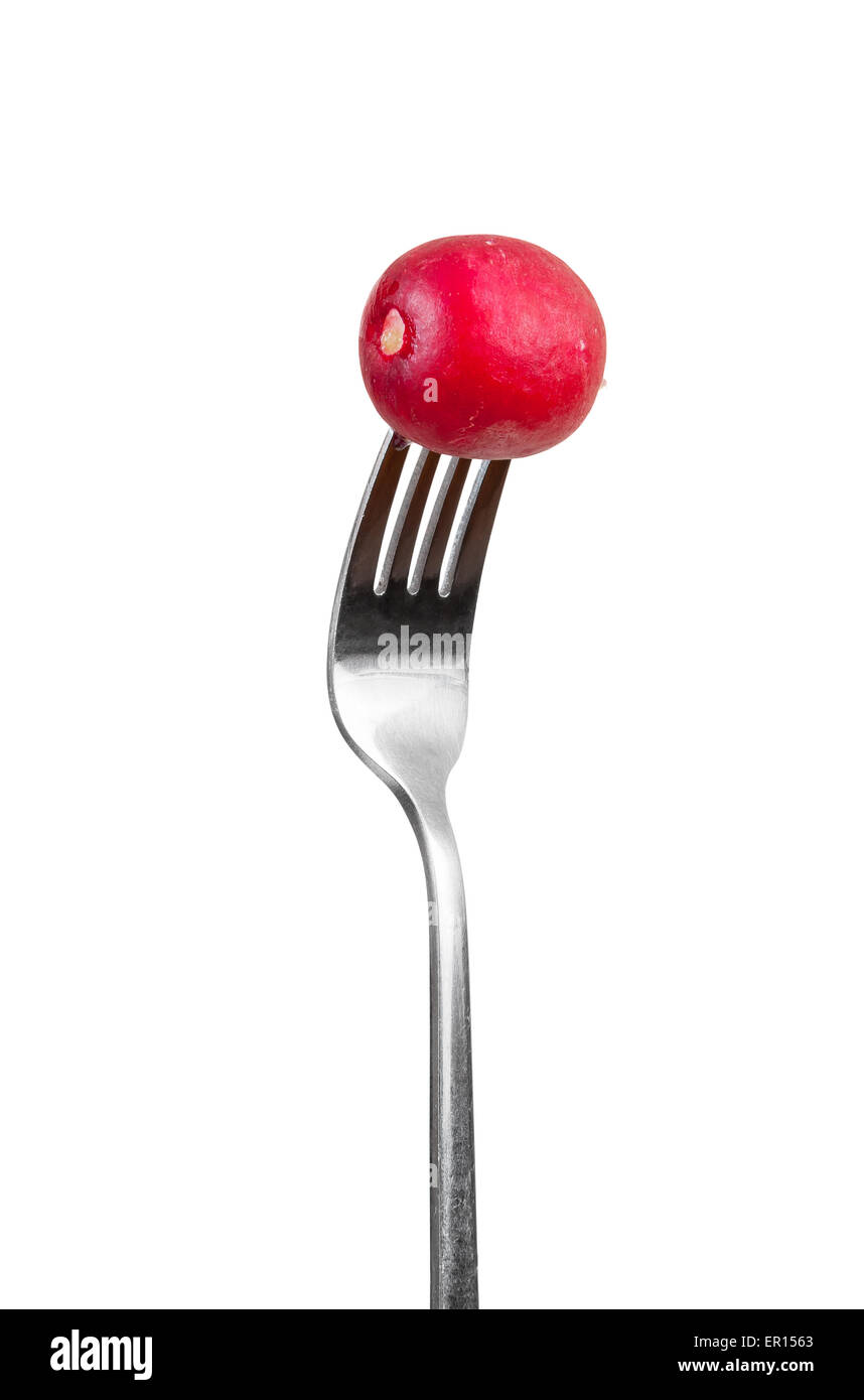 Radish on a fork isolated on white background with clipping path Stock Photo