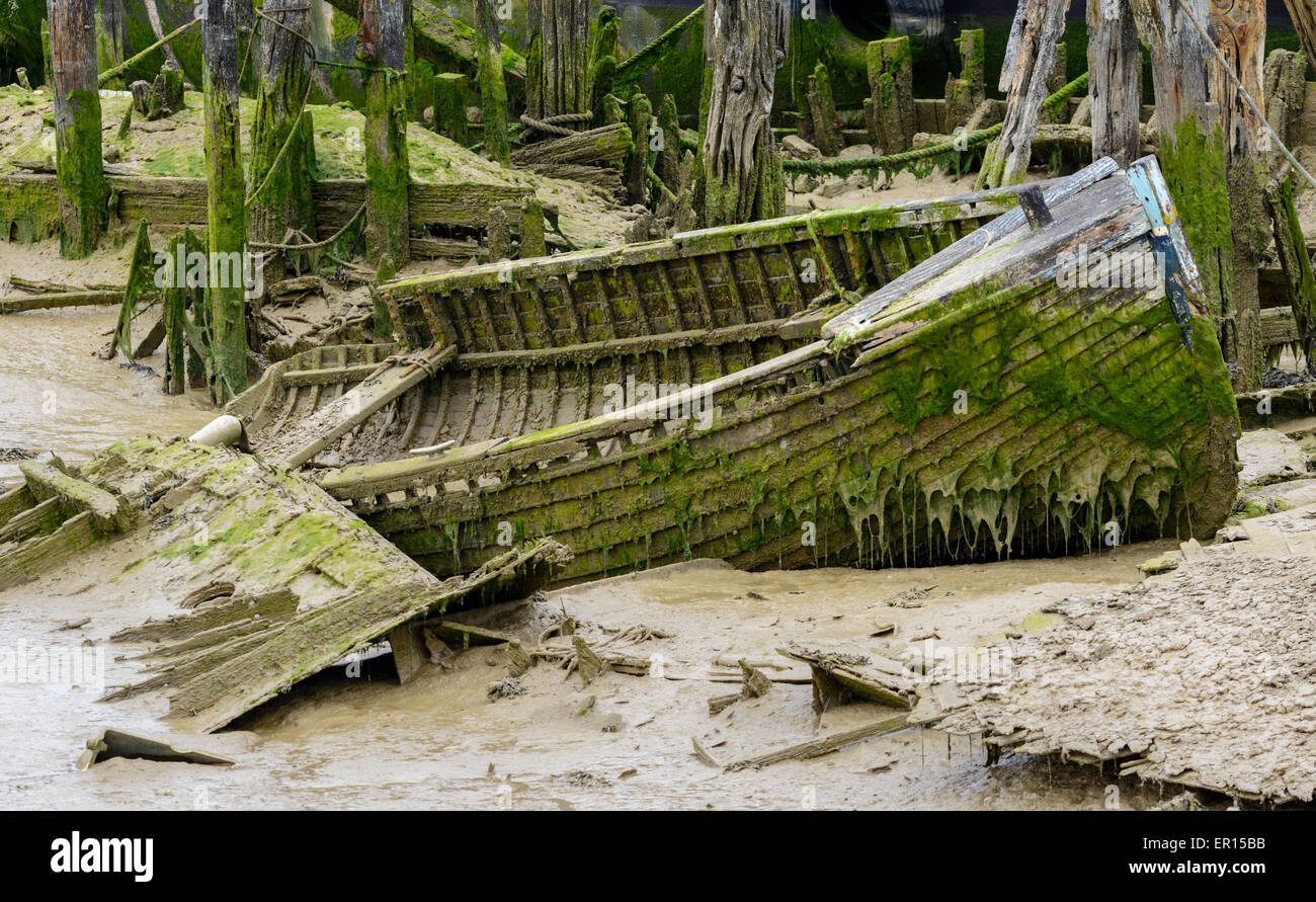 Wooden boat wreck in the mud covered in algae. Stock Photo