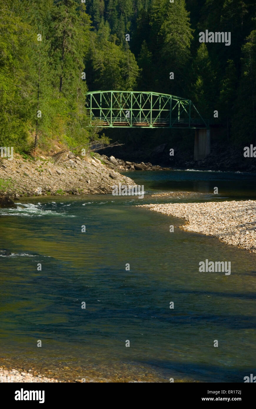 Selway Wild and Scenic River, Nez Perce National Forest, Idaho Stock