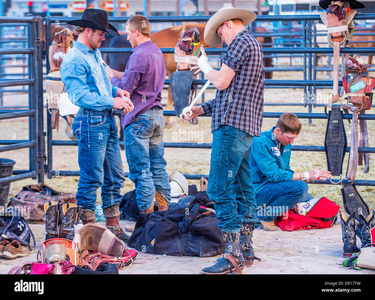 Bonus Day Rodeo Cowboys preparing for the Helldorado days Rodeo , A professional rodeo ...