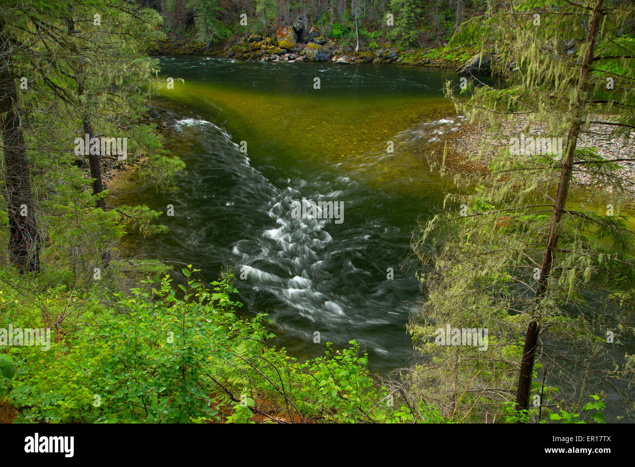 Selway River from Selway River Trail, Selway Wild and Scenic River, Nez