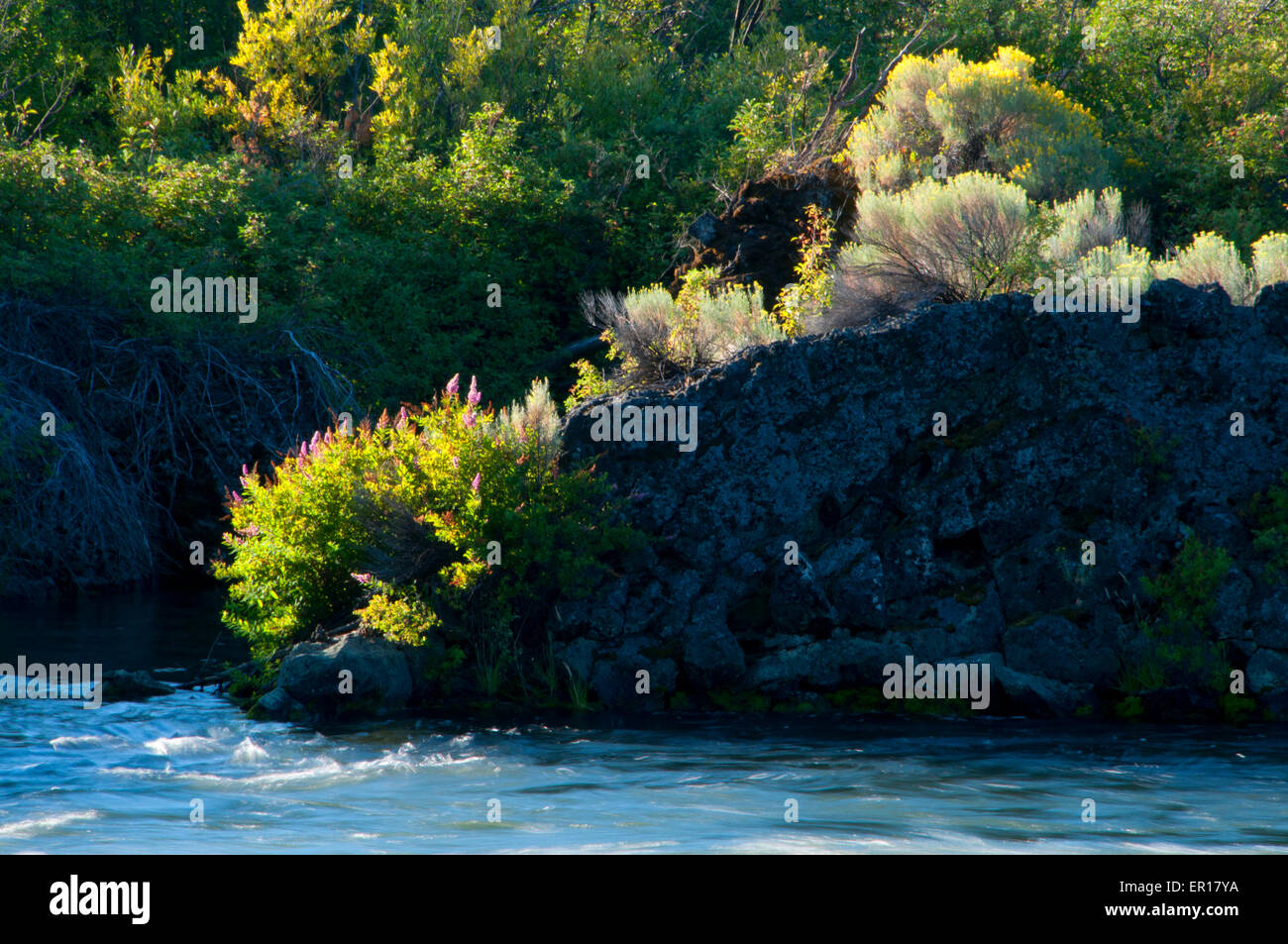 Lava flow with Deschutes Wild and Scenic River from Deschutes River