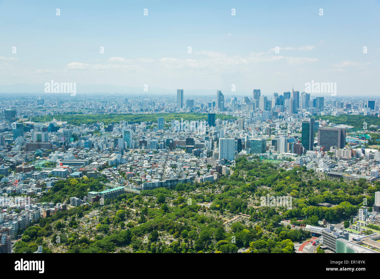 Shinjuku skyscraper,view from Roppongi Hills observatory,Minato-Ku,Tokyo,Japan Stock Photo