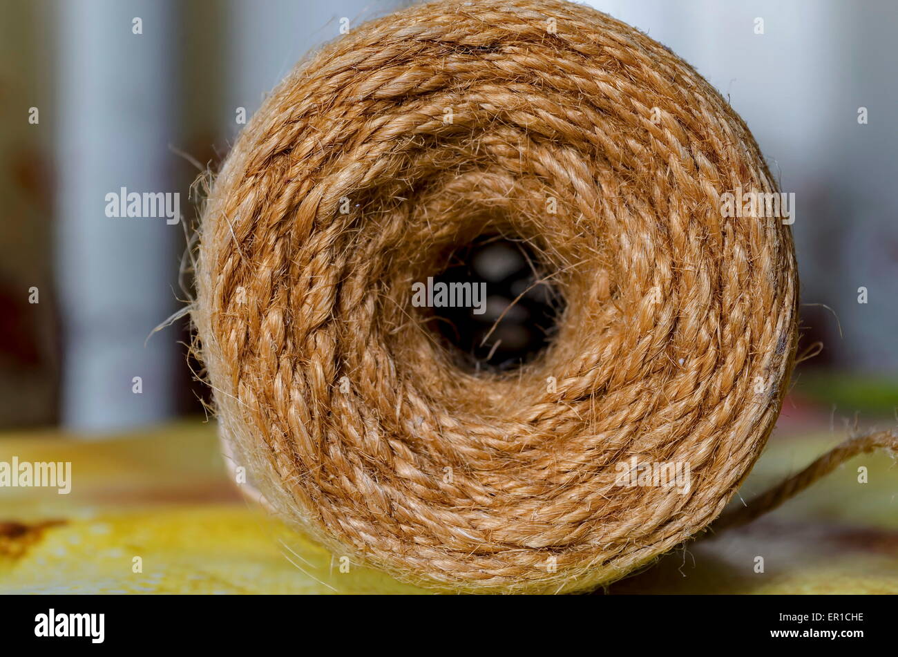 Roll of coil twine cord on color background. Stock Photo