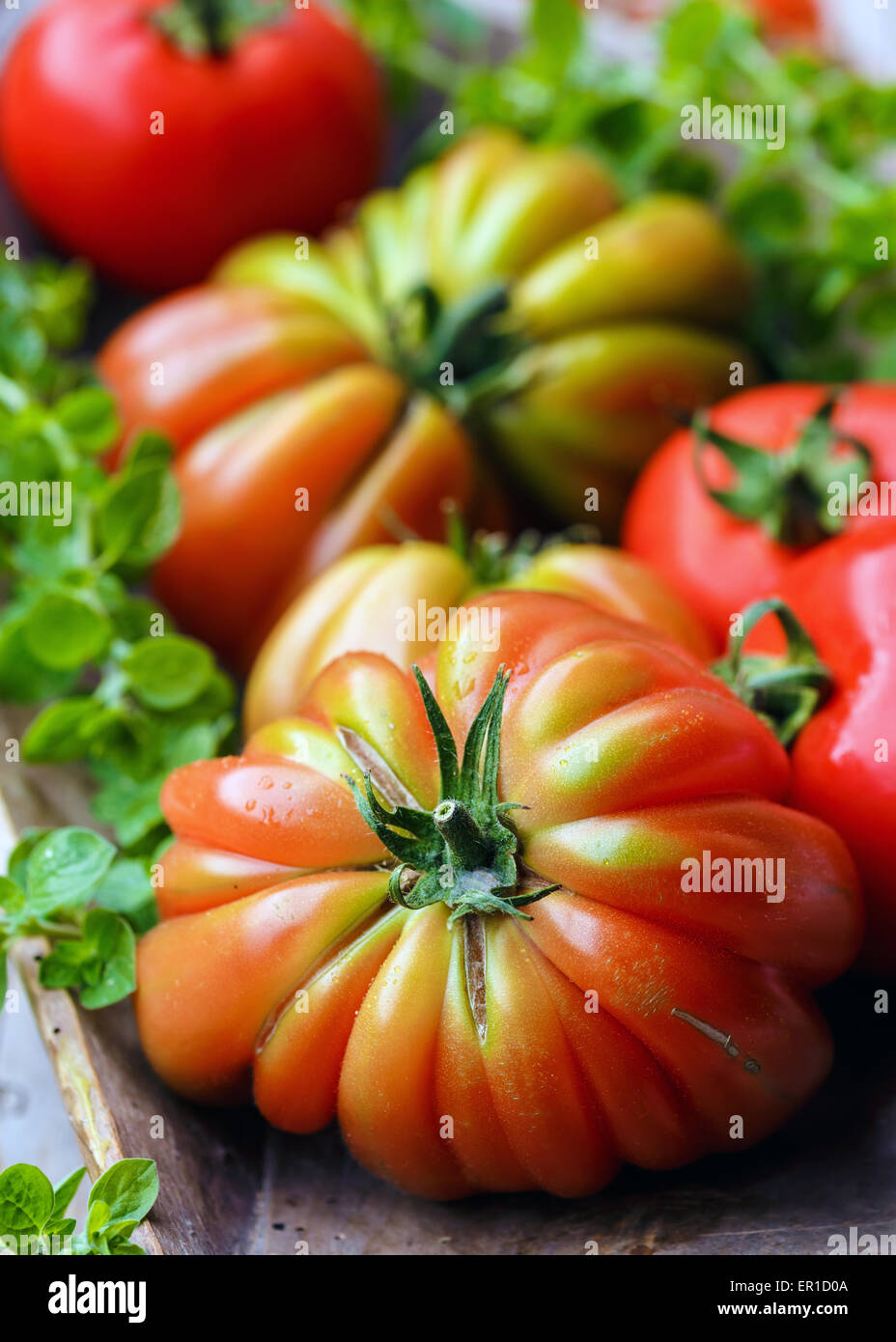 Tomatoes variety 'Cuore di Bue' Stock Photo