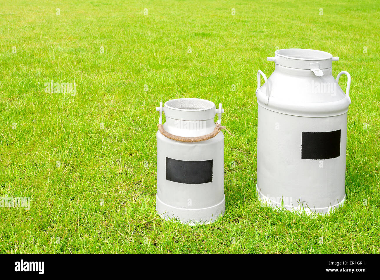 Retro milk cans on a green grass, rural village background, space for text. Stock Photo