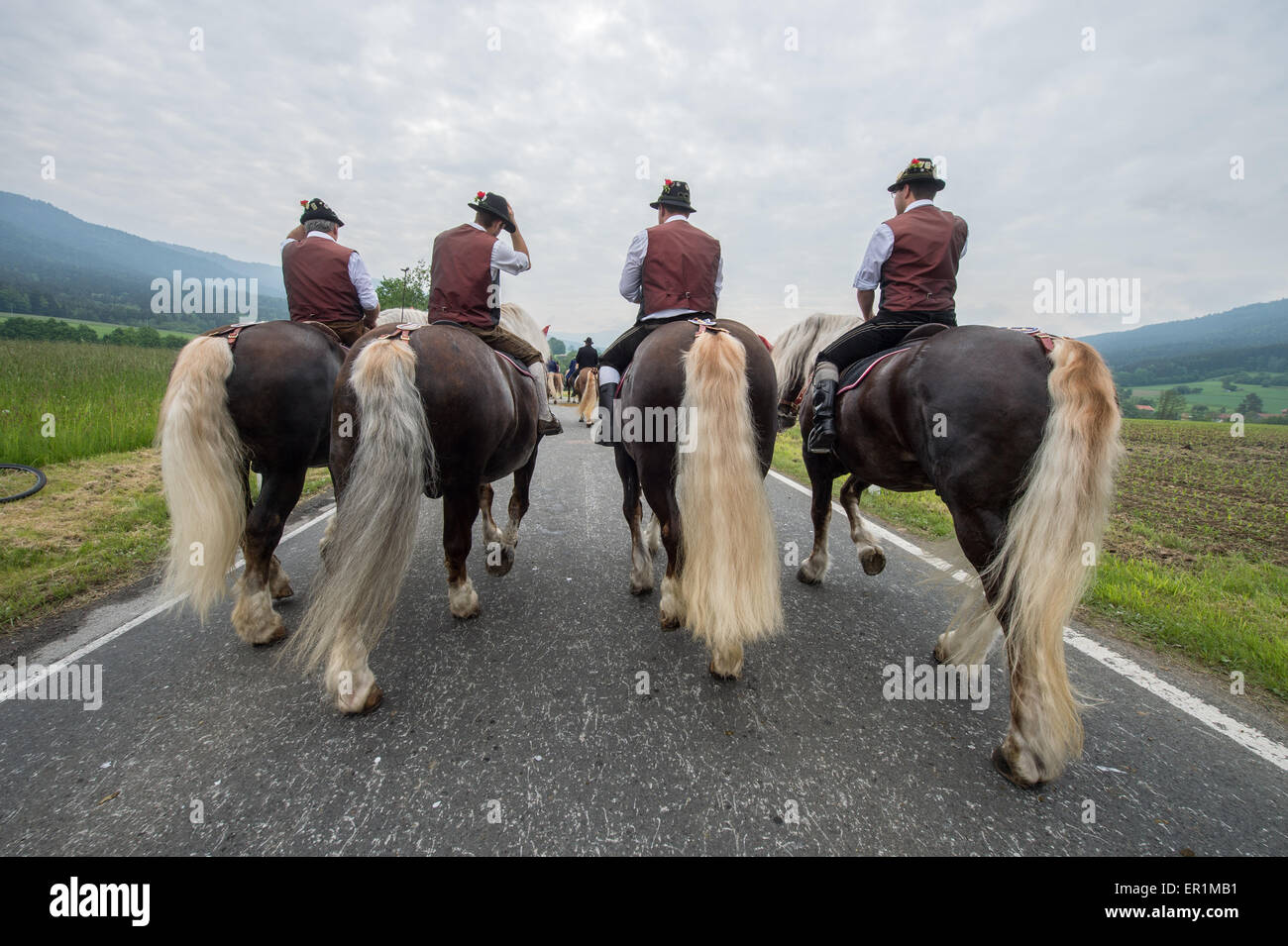 Bad Koetzting, Germany. 25th May, 2015. Participants of the Pentecost Ride ride on their horses near Bad Koetzting, Germany, 25 May 2015. The procession with some 900 riders is one of the oldest Bavarian traditional events. The men pilgrim on their beautifully decorated horses from Bad Koetzting to the Nikolaus church in Steinbuehl on a distance of seven kilometres. Photo: ARMIN WEIGEL/dpa/Alamy Live News Stock Photo