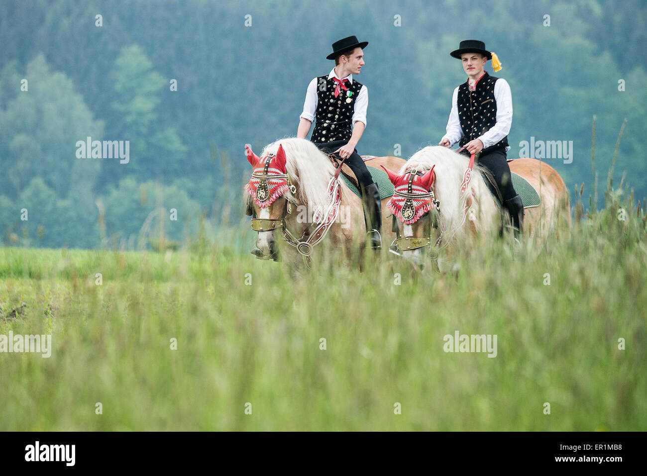 Bad Koetzting, Germany. 25th May, 2015. Participants of the Pentecost Ride ride on their horses near Bad Koetzting, Germany, 25 May 2015. The procession with some 900 riders is one of the oldest Bavarian traditional events. The men pilgrim on their beautifully decorated horses from Bad Koetzting to the Nikolaus church in Steinbuehl on a distance of seven kilometres. Photo: ARMIN WEIGEL/dpa/Alamy Live News Stock Photo