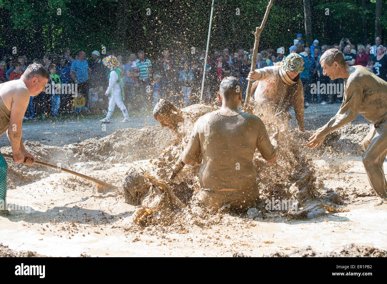 Hergisdorf, Germany. 25th May, 2015. Participants of the traditional dirty pig festival wallow in a slough near Hergisdorf, Germany, 25 May 2015. With this custom the villagers want to dispel winter. The 'dirty pigs' who represent the winter jump into sloughs again and again. Runners dressed in white representing the summer expel them from the sloughs with long whips. When the last 'dirty pig' is expelled from the sloughs the summer prevails over winter. Photo: PETER ENDIG/dpa/Alamy Live News Stock Photo