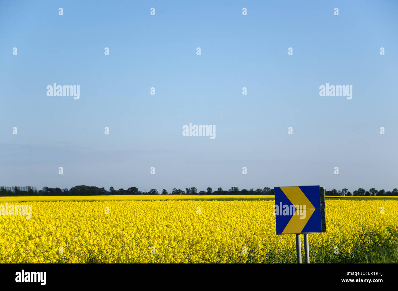 Roadsign arrow rapeseed sky spring hi-res stock photography and images ...