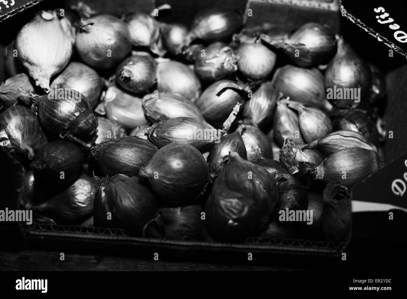 shallots Stock Photo