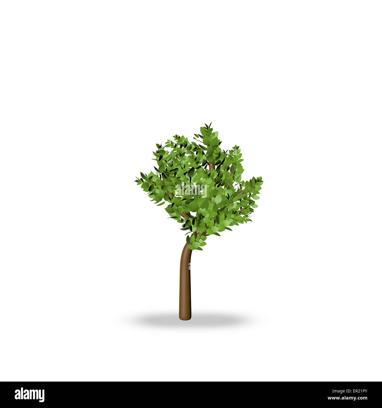 Tree 3d render Stock Photo