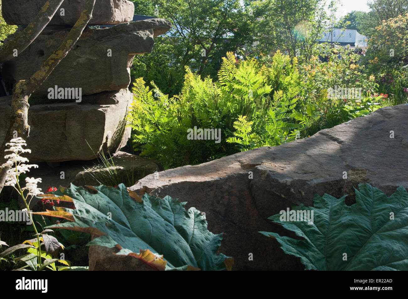RHS Chelsea Flower Show 2015 - Dan Pearson's Rock Garden with Trout Stream.  Sunlit Rocks and Ferns. Stock Photo