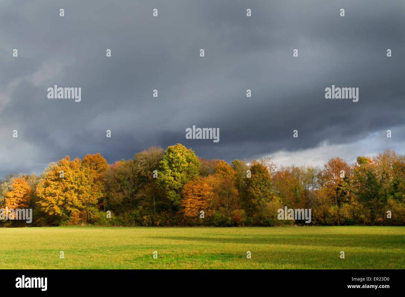 autumn trees cloudy sky france Stock Photo