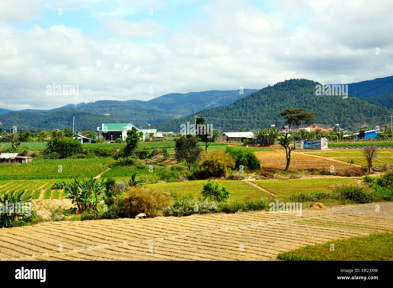 Agricultural land near Da Lat in the Vietnamese Central Highlands Stock