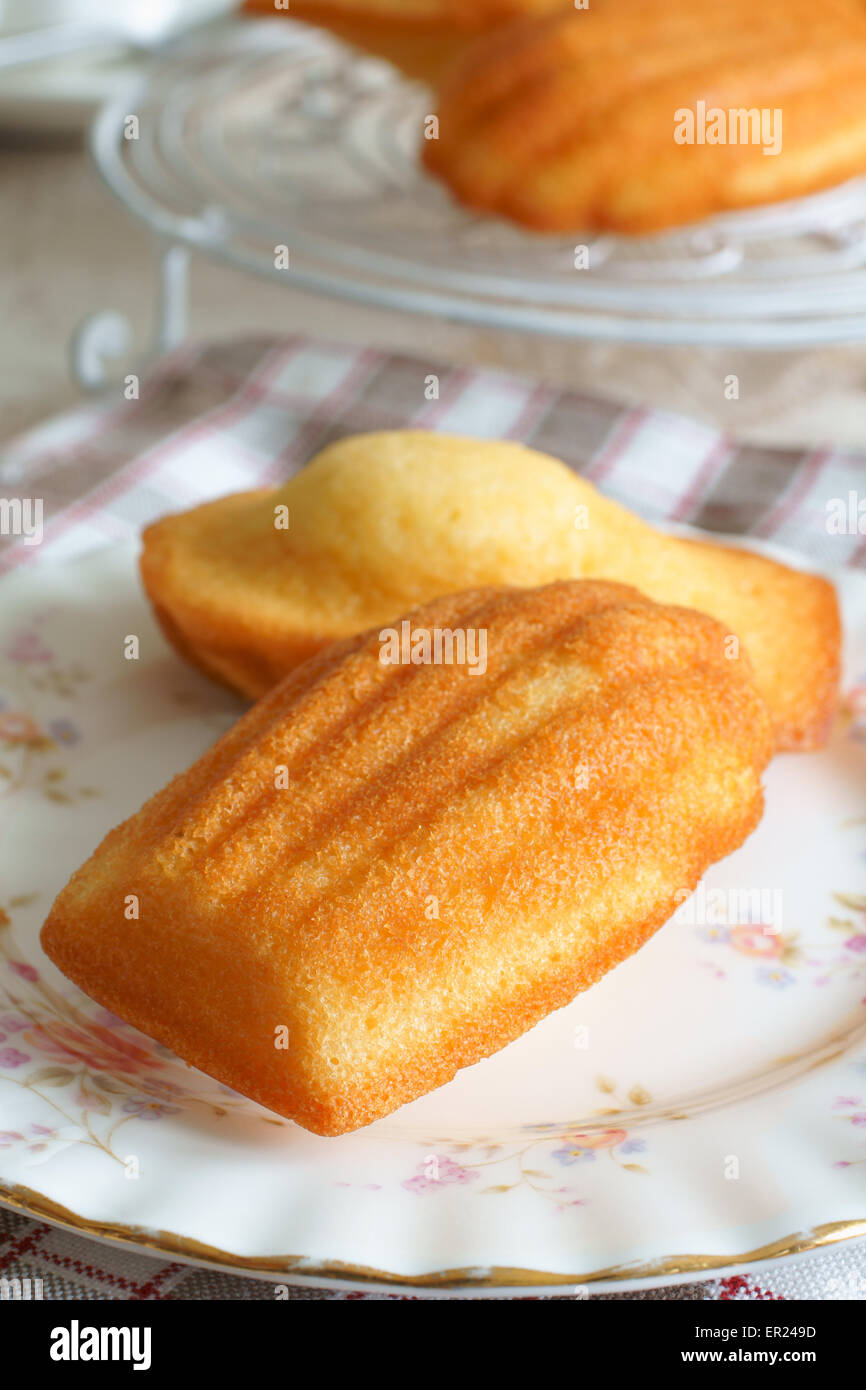 Madeleines or petite madeleine a traditional cake from the Lorraine region of France Stock Photo