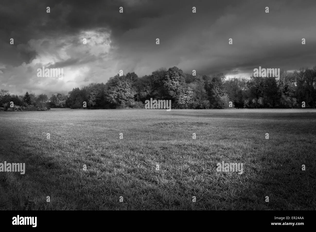 black and white landscape meadow wood trees Stock Photo - Alamy