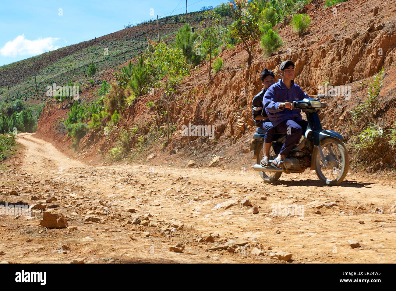 Two people on a motorcycle travel along a dirt road through a coffee plantation in central Vietnam. Stock Photo