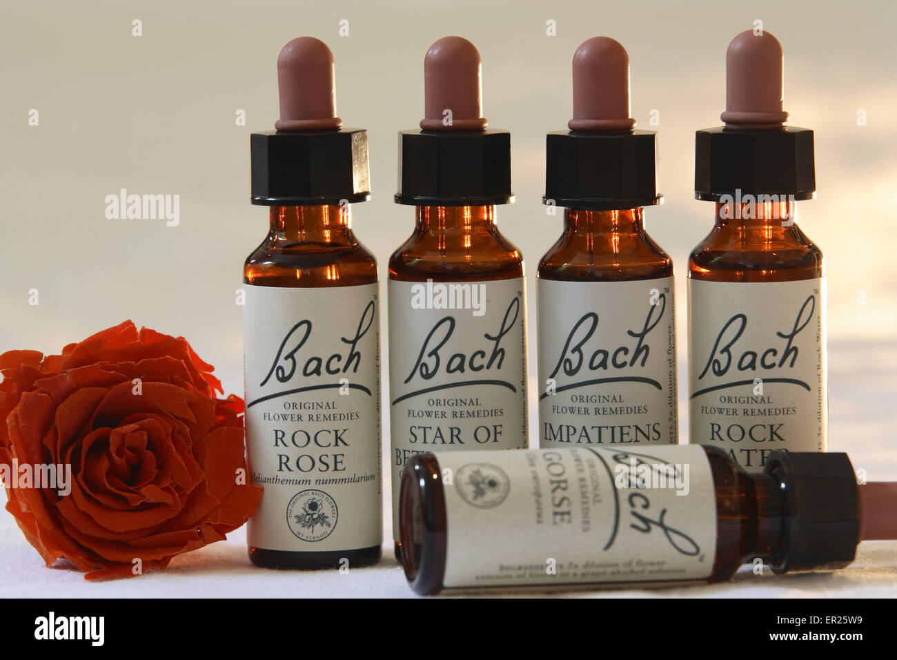 DEU, Germany, refill bottles of Bach Flower Remedies.  DEU, Deutschland, Flaeschchen mit Bachbluetenkonzentraten. Stock Photo