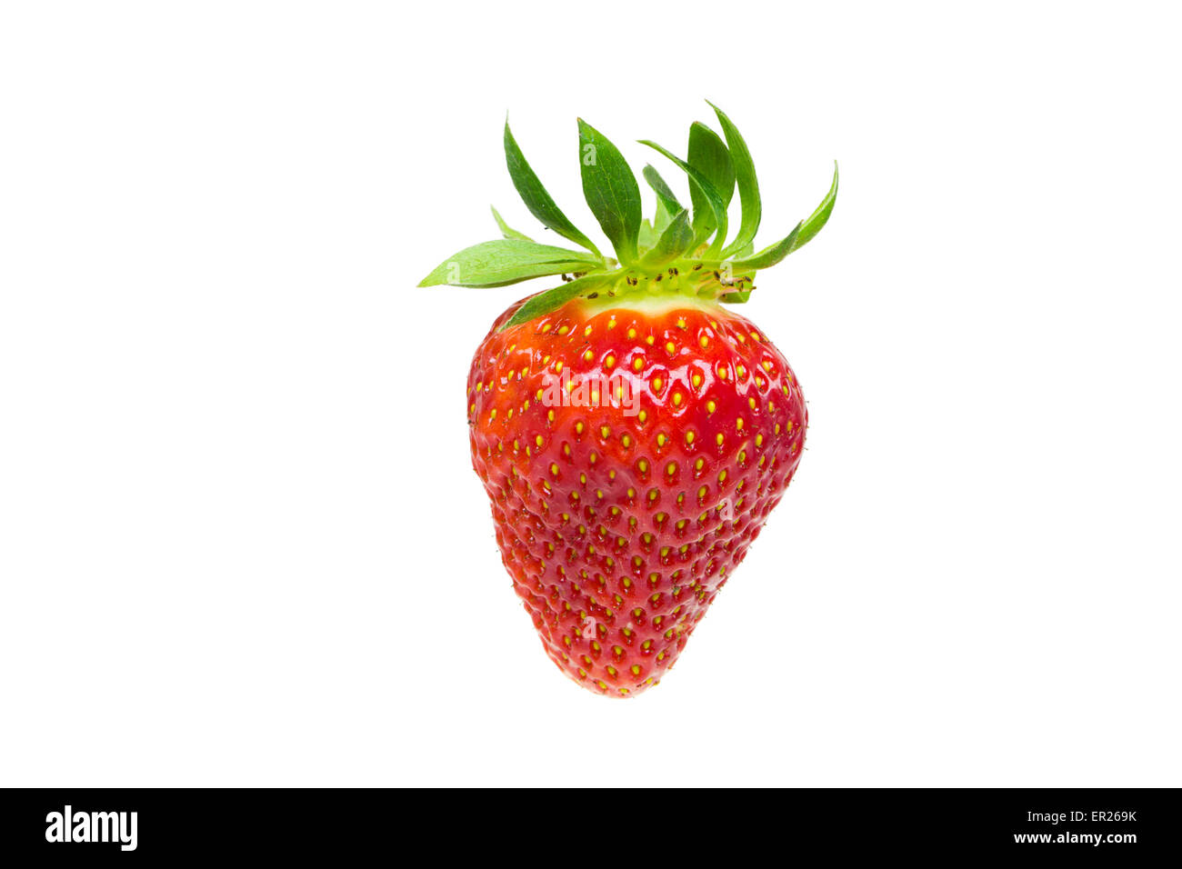 Single fresh red strawberry isolated on white background Stock Photo ...