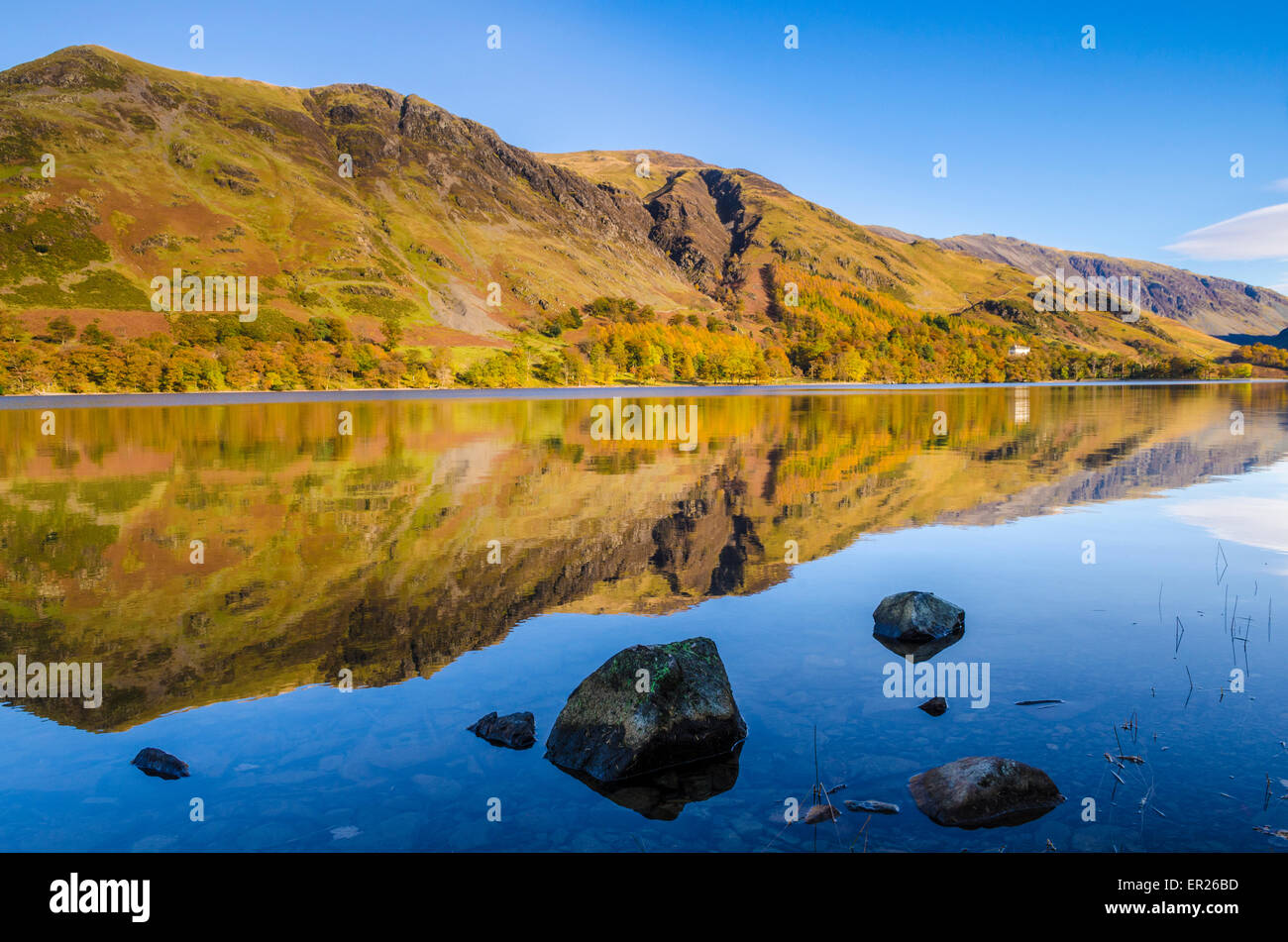 High Snockrigg and Robinson fells reflected in Buttermere lake. Lake District, Cumbria, England. Stock Photo