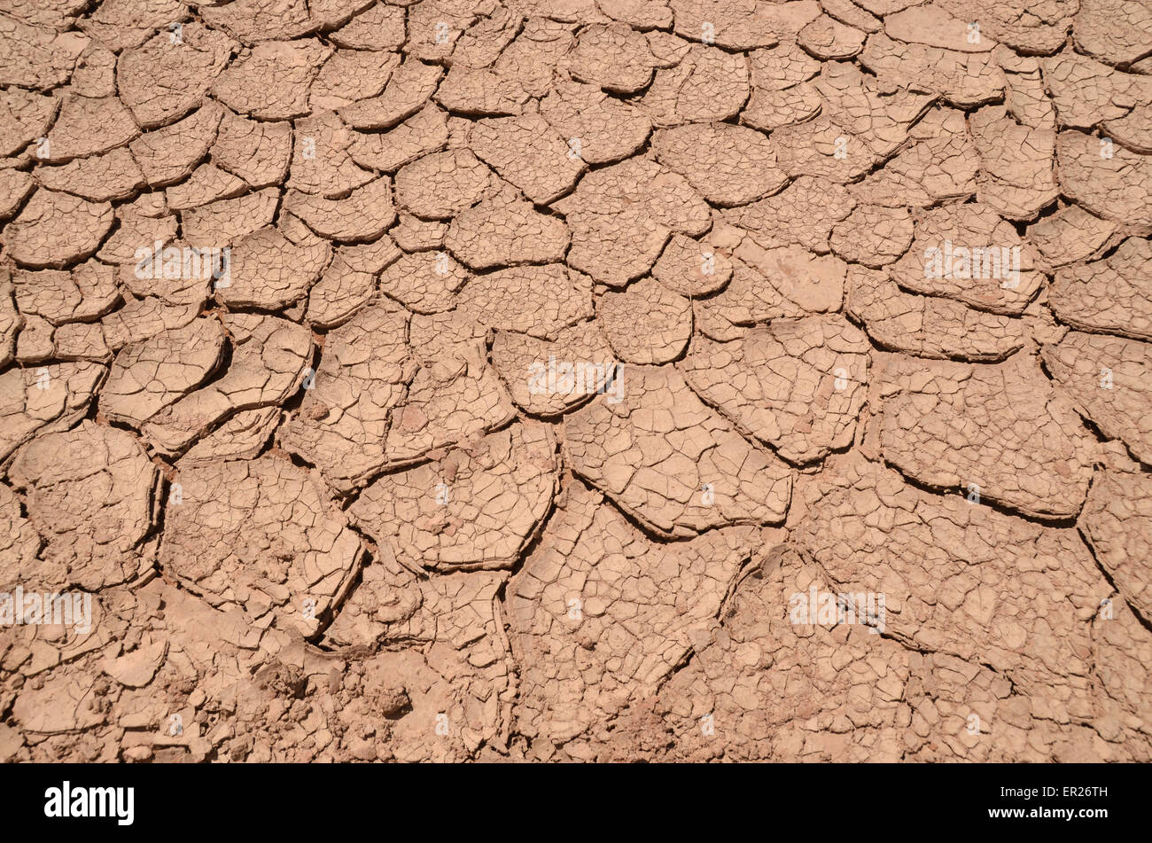 Cracked soil in the Gobi desert, Omnogovi province, southern Mongolia. Stock Photo