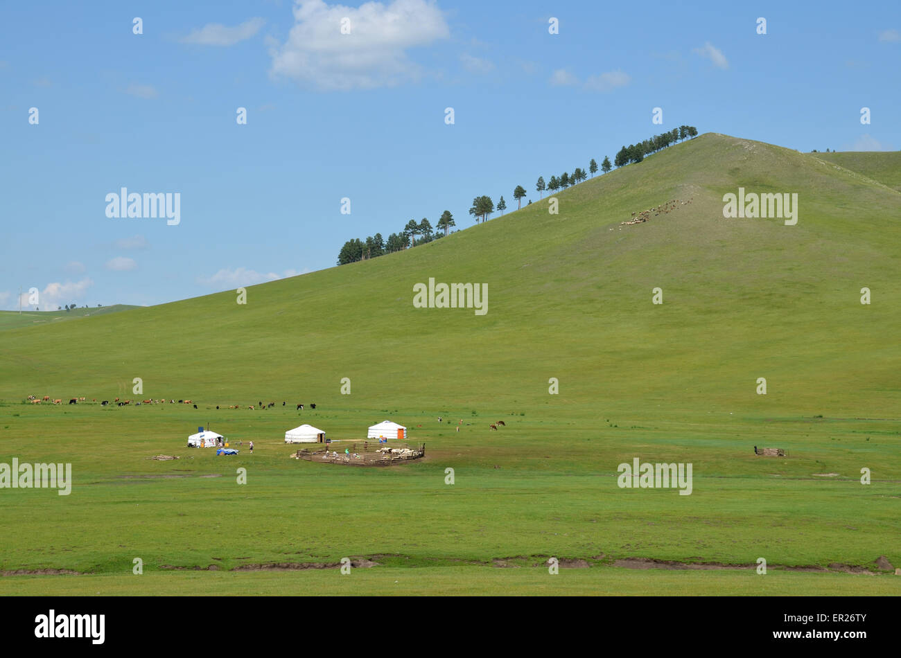 Three yurts in the steppe north of Ulan Bator, Tov province, Mongolia ...
