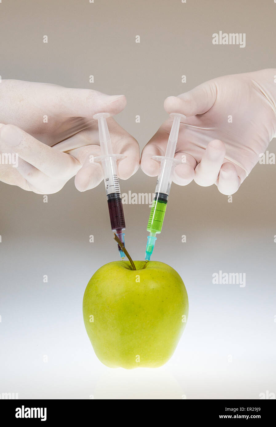 Hands are injecting chemicals into the green apple. White and grey gradient background. High res photo taken with a full frame N Stock Photo